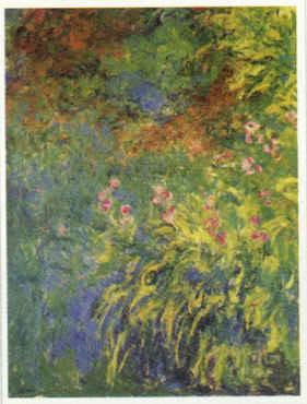 Claude Monet Irises, 1914-17 oil painting image